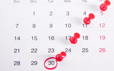 Exploring Calendly Alternatives: Find the Perfect Scheduling Solution for Your Business